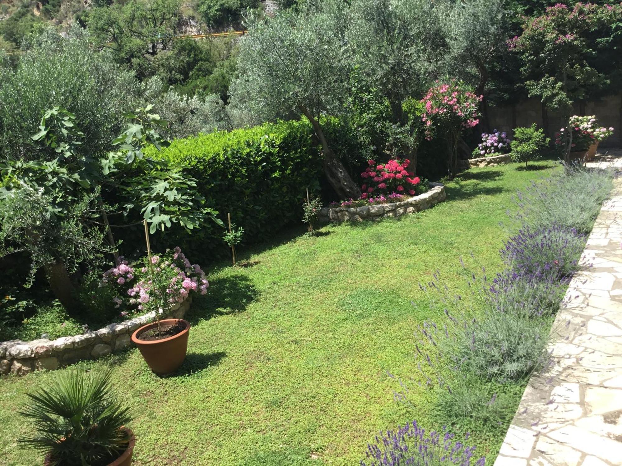 Bay View Apartments Petrovac Dış mekan fotoğraf